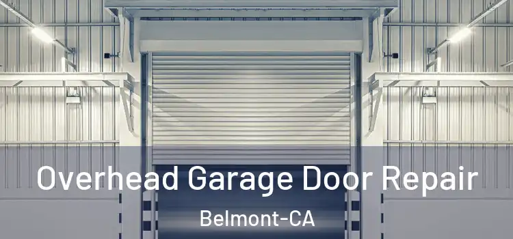  Overhead Garage Door Repair Belmont-CA